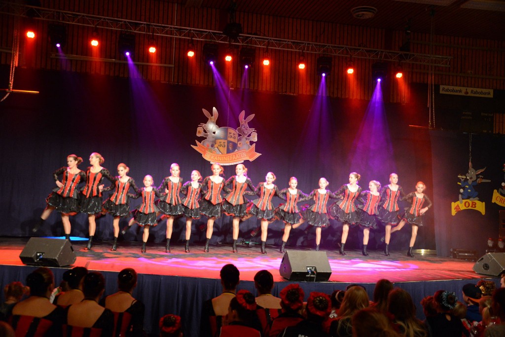 ../Images/Dansmarieke festival 2015 163.jpg